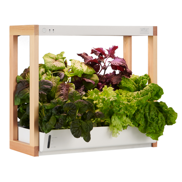 Personal Indoor Garden Hydroponic
