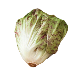 Bel Fiore Radicchio