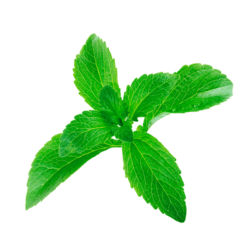 Sweet Leaf Stevia