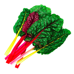 Bright Lights Swiss Chard