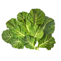 Top Bunch Collards