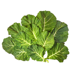 Top Bunch Collards