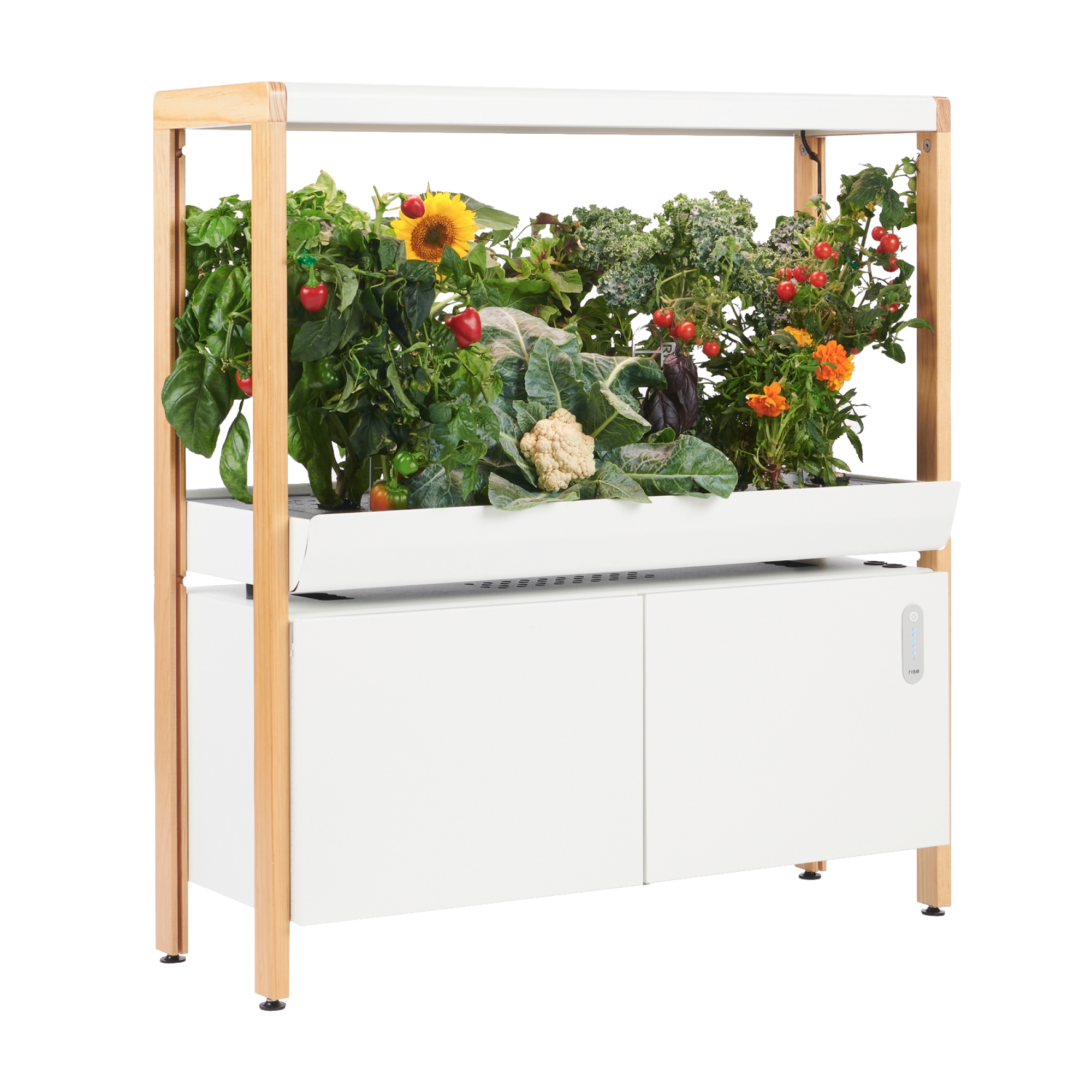 rise garden seed pods Indoor Hydroponic Garden