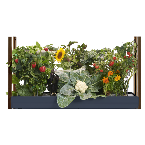 Extension for hydroponic modular system