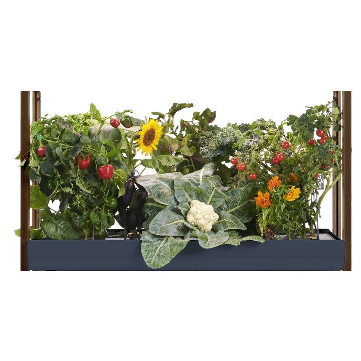 Extension for hydroponic modular system