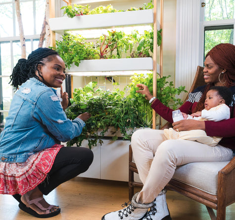 Family around indoor garden- Rise GArdens