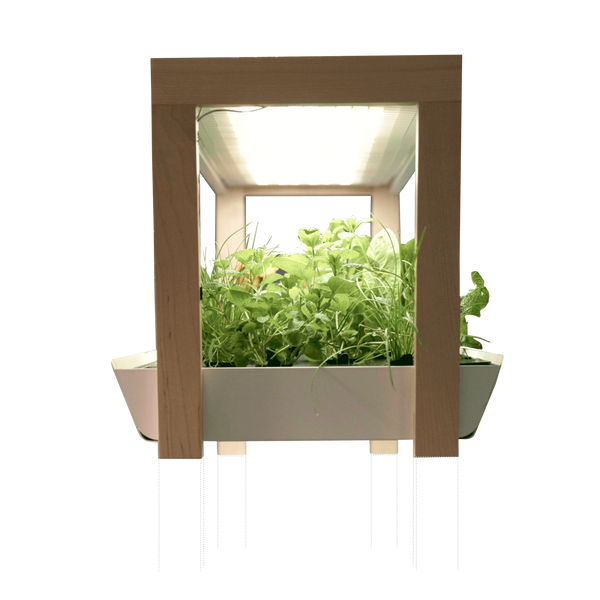 Family Garden Extension