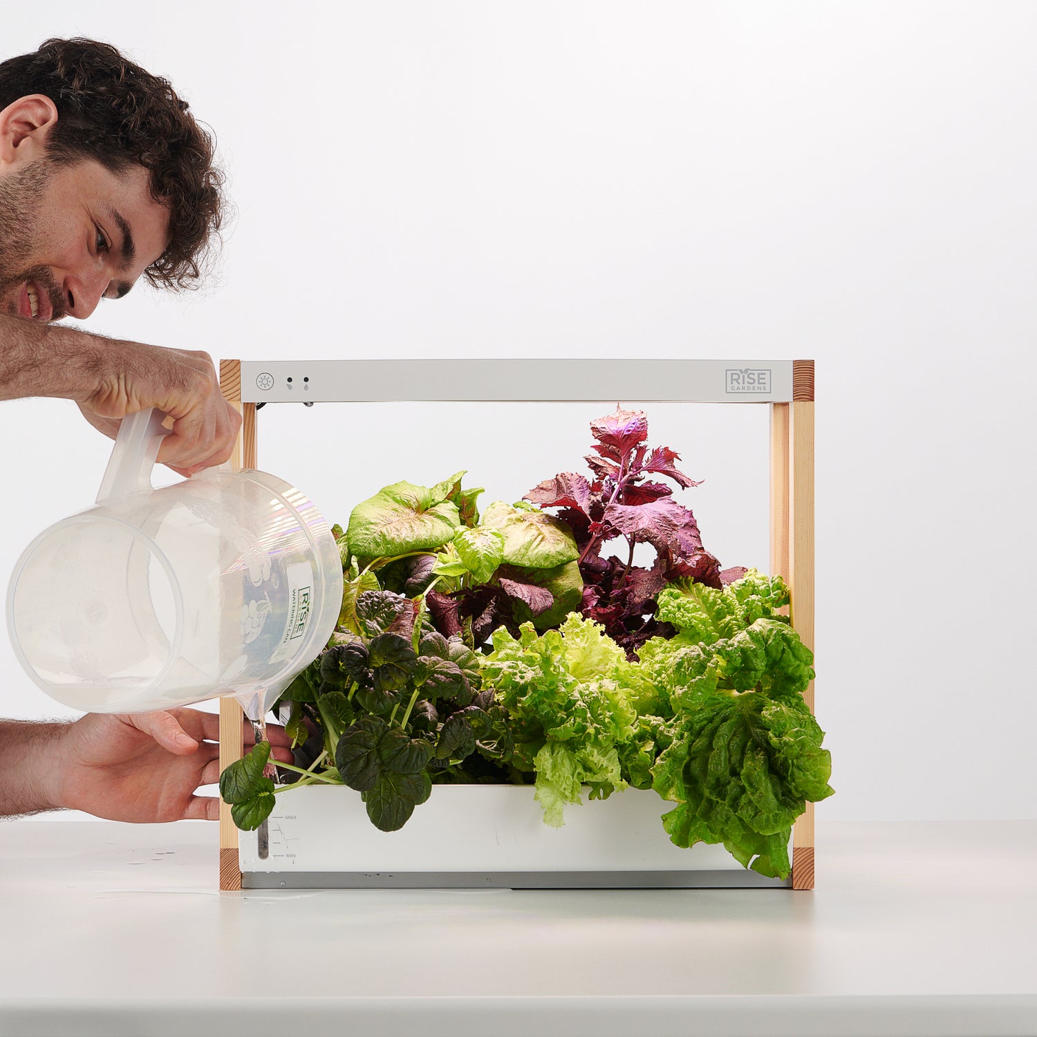 smart indoor plant Personal Indoor Garden