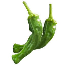 Shishito Peppers