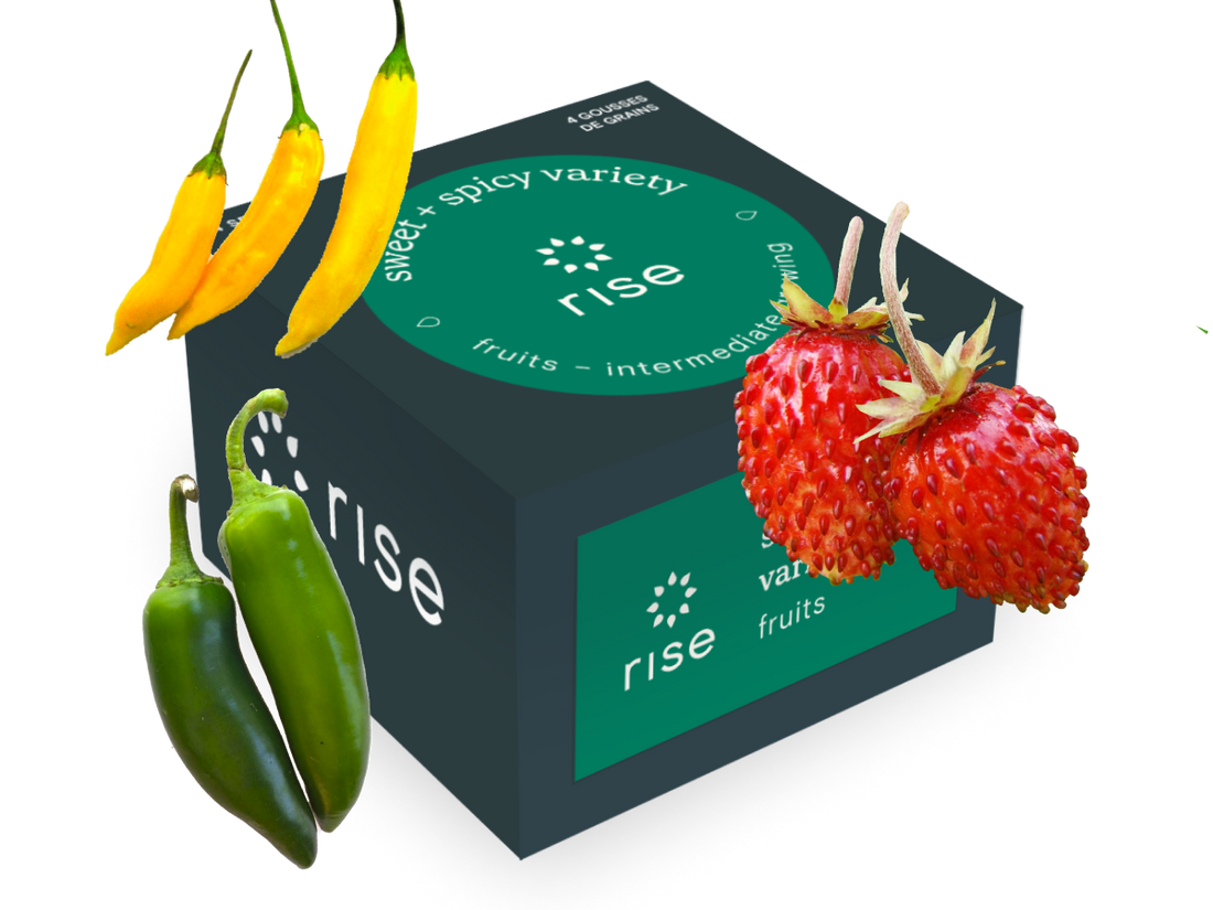 4 pack pepper and strawberry hydroponic seedpods