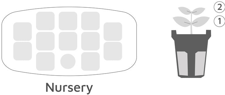 moveintogarden stage